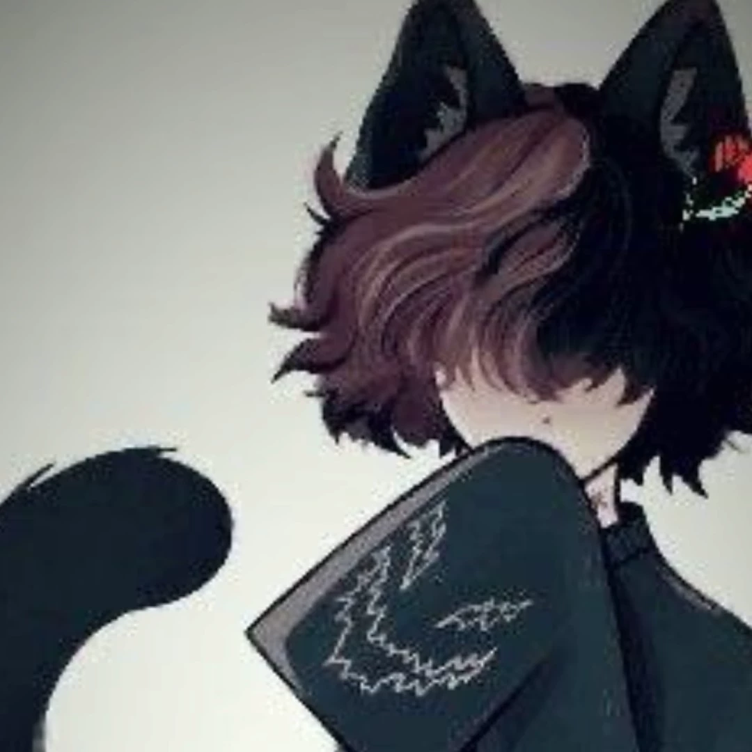 Evan cat femboy