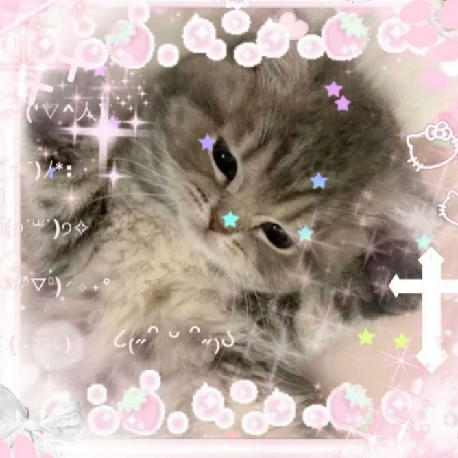 ★𝐊𝐚𝐦𝐢𝐈 ? ? |★ 🦄🐱⬤