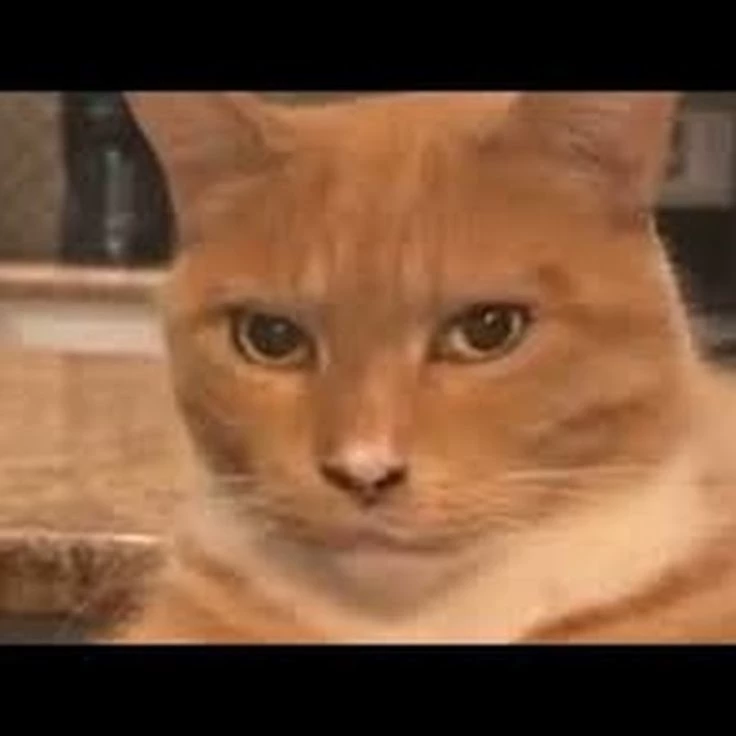 Dan