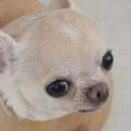 Kim