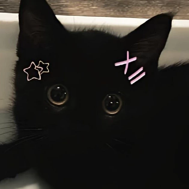 ٭黒い子猫 ٭