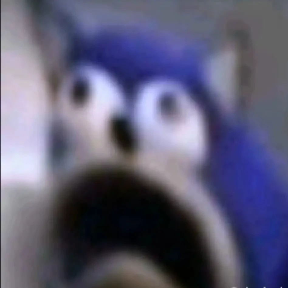 Sonk