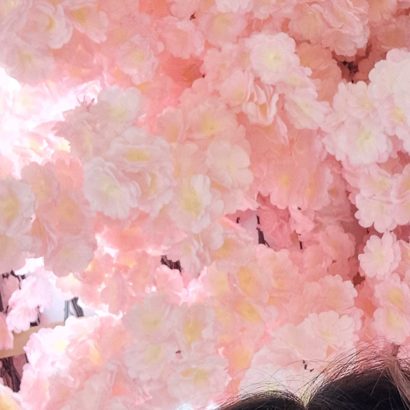 Bloom