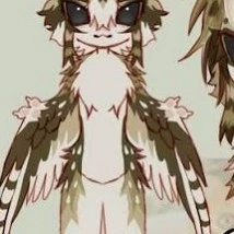 Meowl 