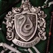 Slytherin_Fox2.0