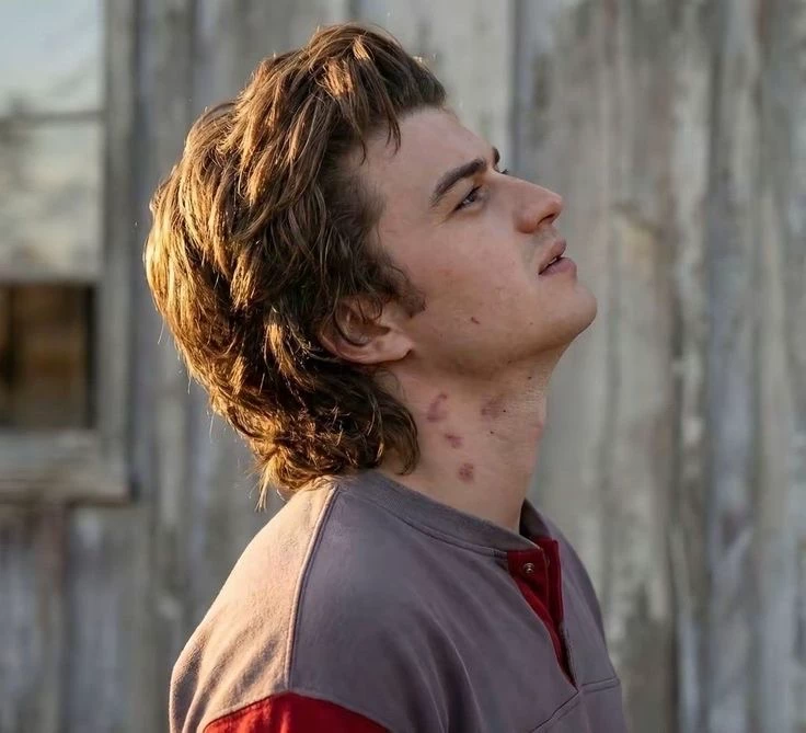 Steve Harrington thumbnail
