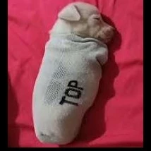 Adrián 