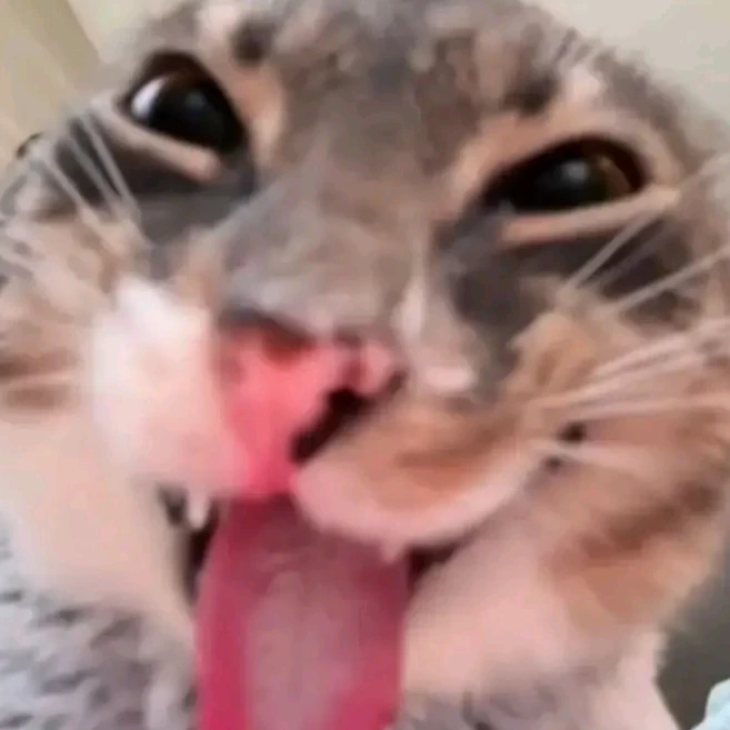 ZZZ