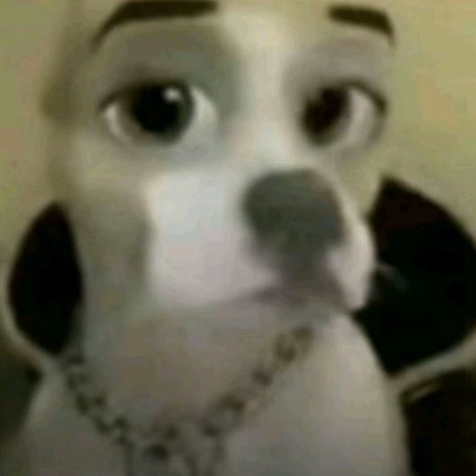 Angelo