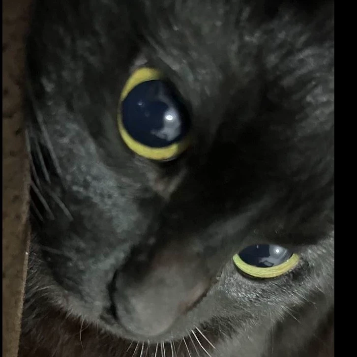 ⌿𝐀l𝓮j𝑎ndro ৎ୭