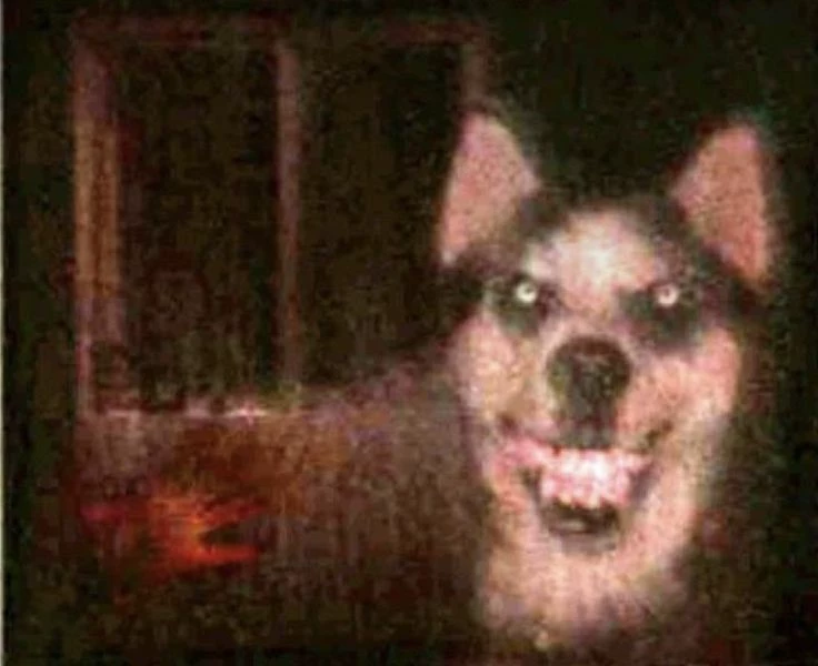 Skinwalker. thumbnail