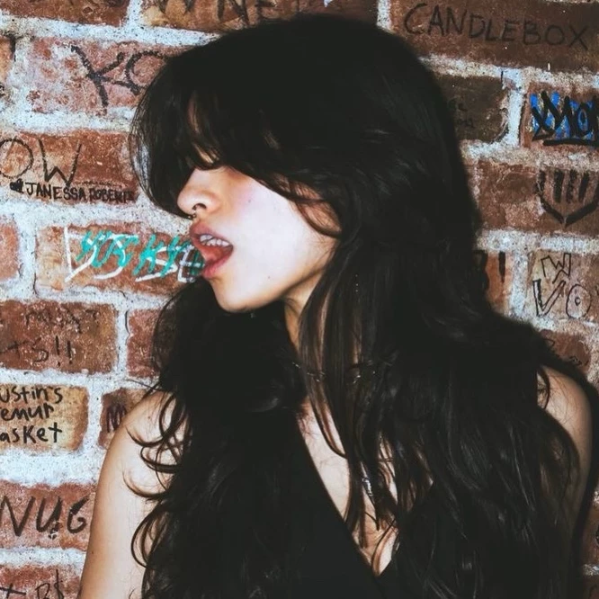 Ari