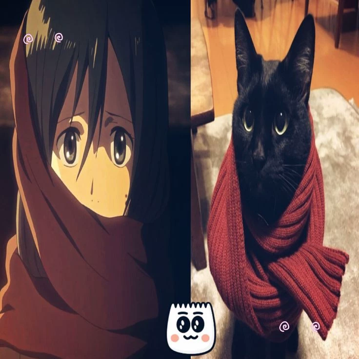 Hihi