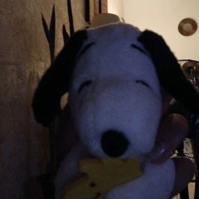 Sam
