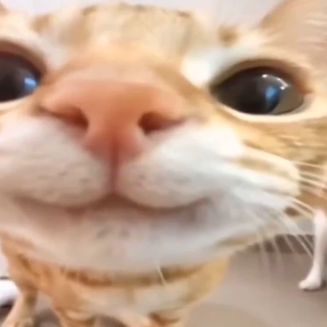 𝐇𝐚𝐧𝐧𝐚𝐡 ٭