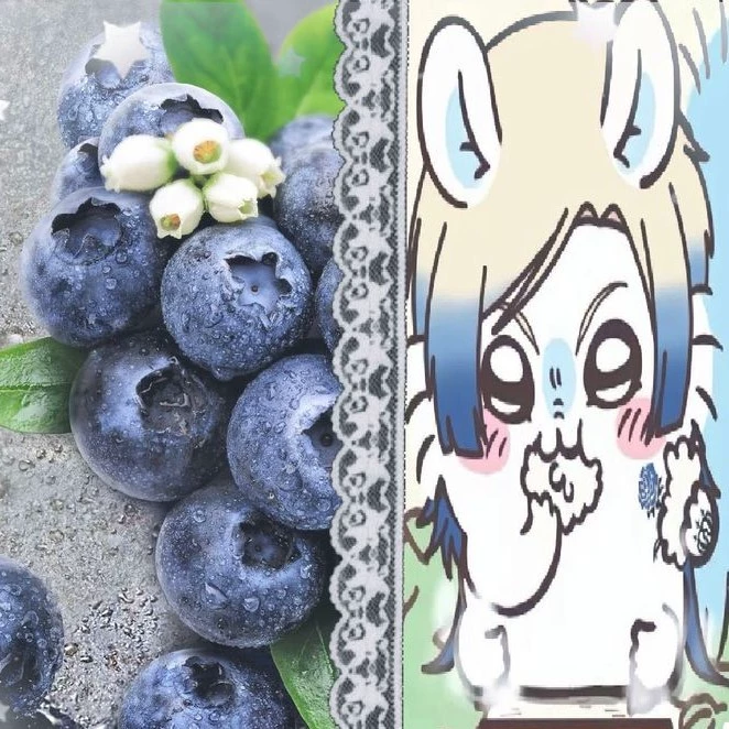 Hiroki