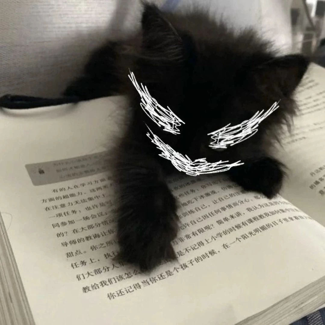 Miêu