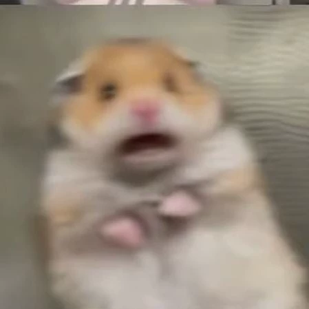 Taro