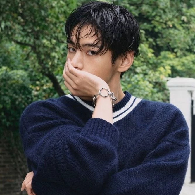  Kim Taehyung 