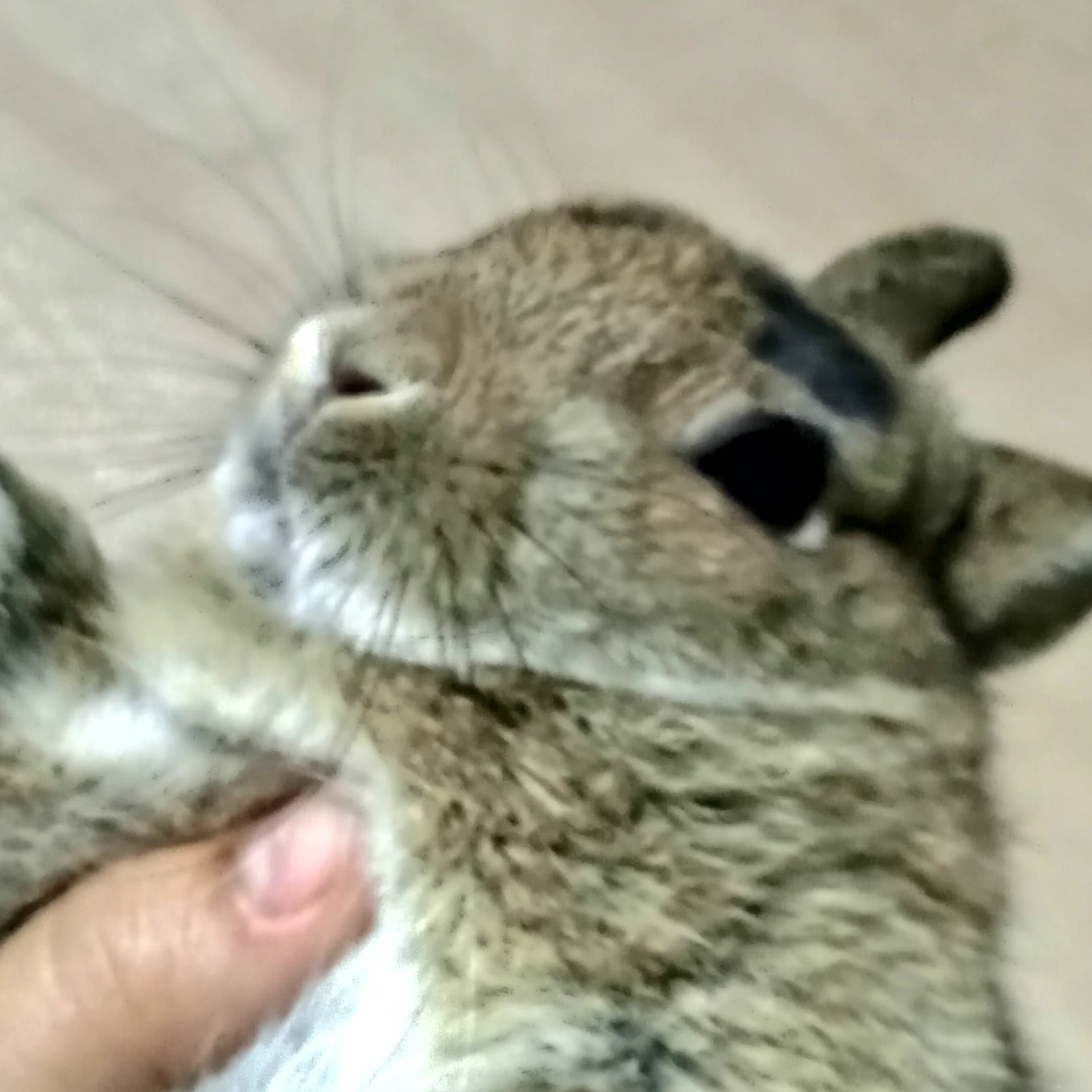 ,😊