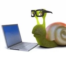 Lecker Popel