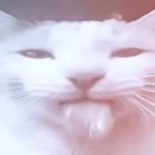 Pepo