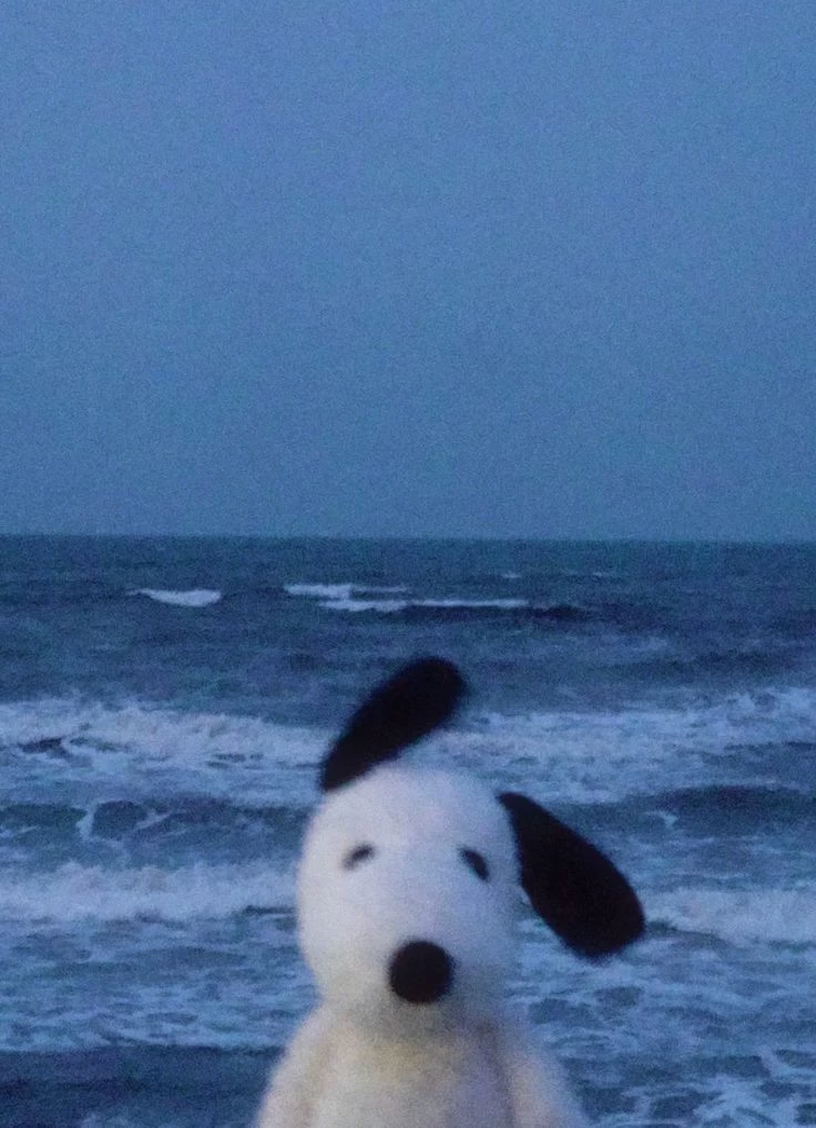 Pellucia to Snoopy thumbnail