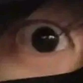 Camí (⁠◍⁠•⁠ᴗ⁠•⁠◍⁠)