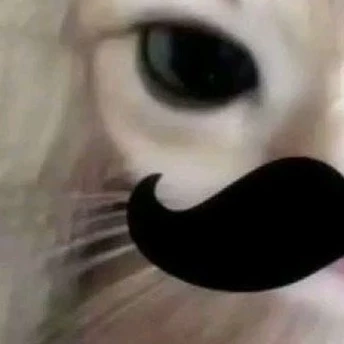 невелин