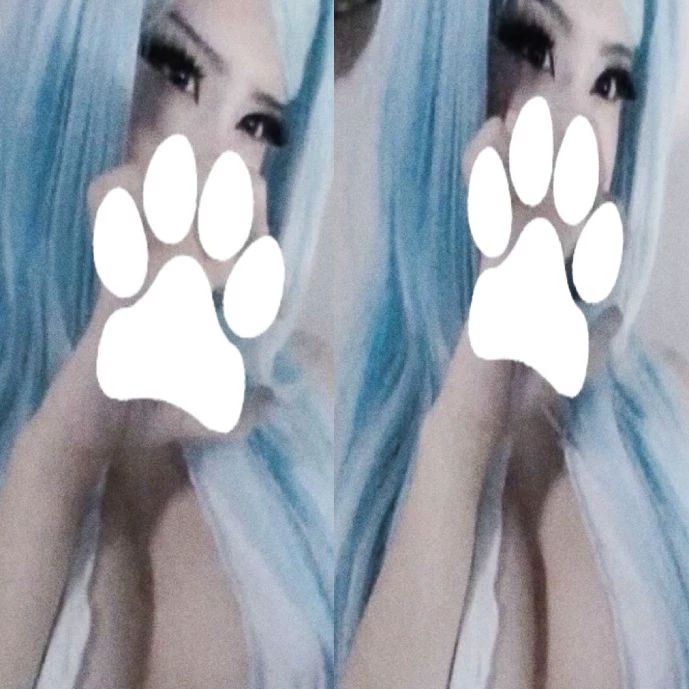 kitty