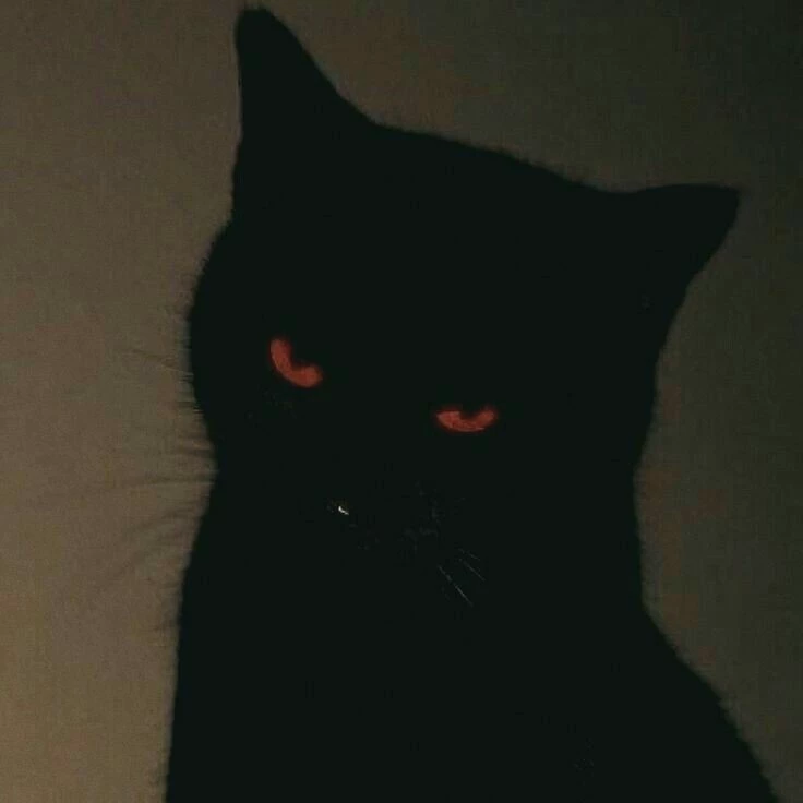 Рей