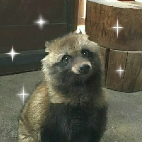 Wølfie