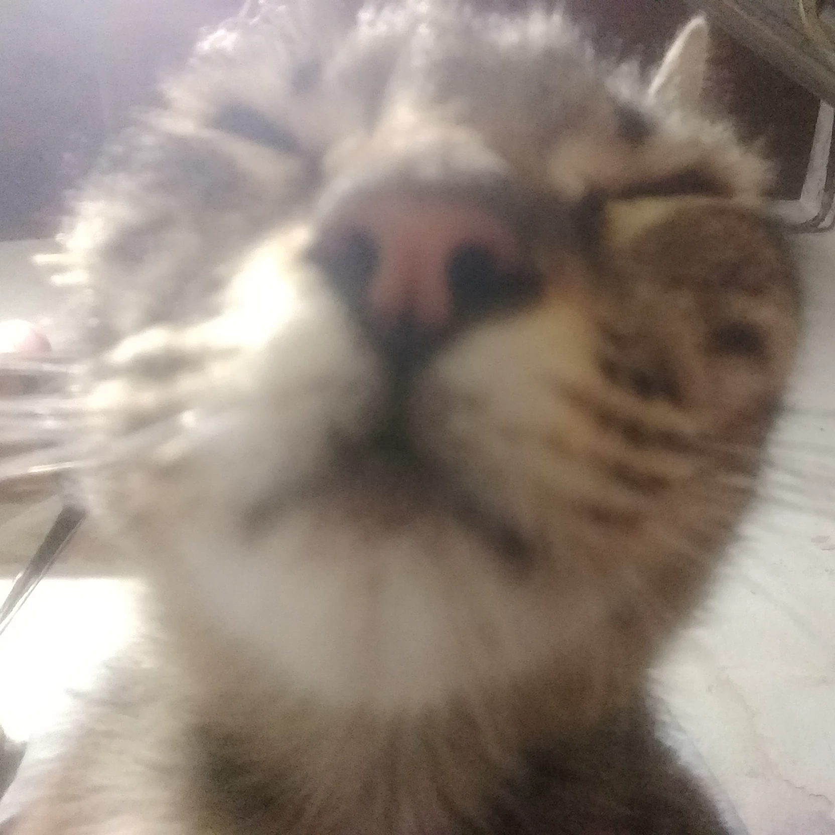 Una_Random_Mas