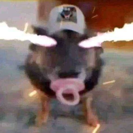 ☆~Cachorro louco~☆