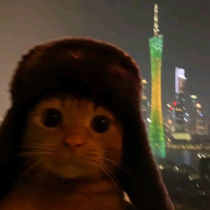 Т/И 