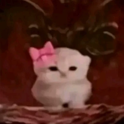 Nao