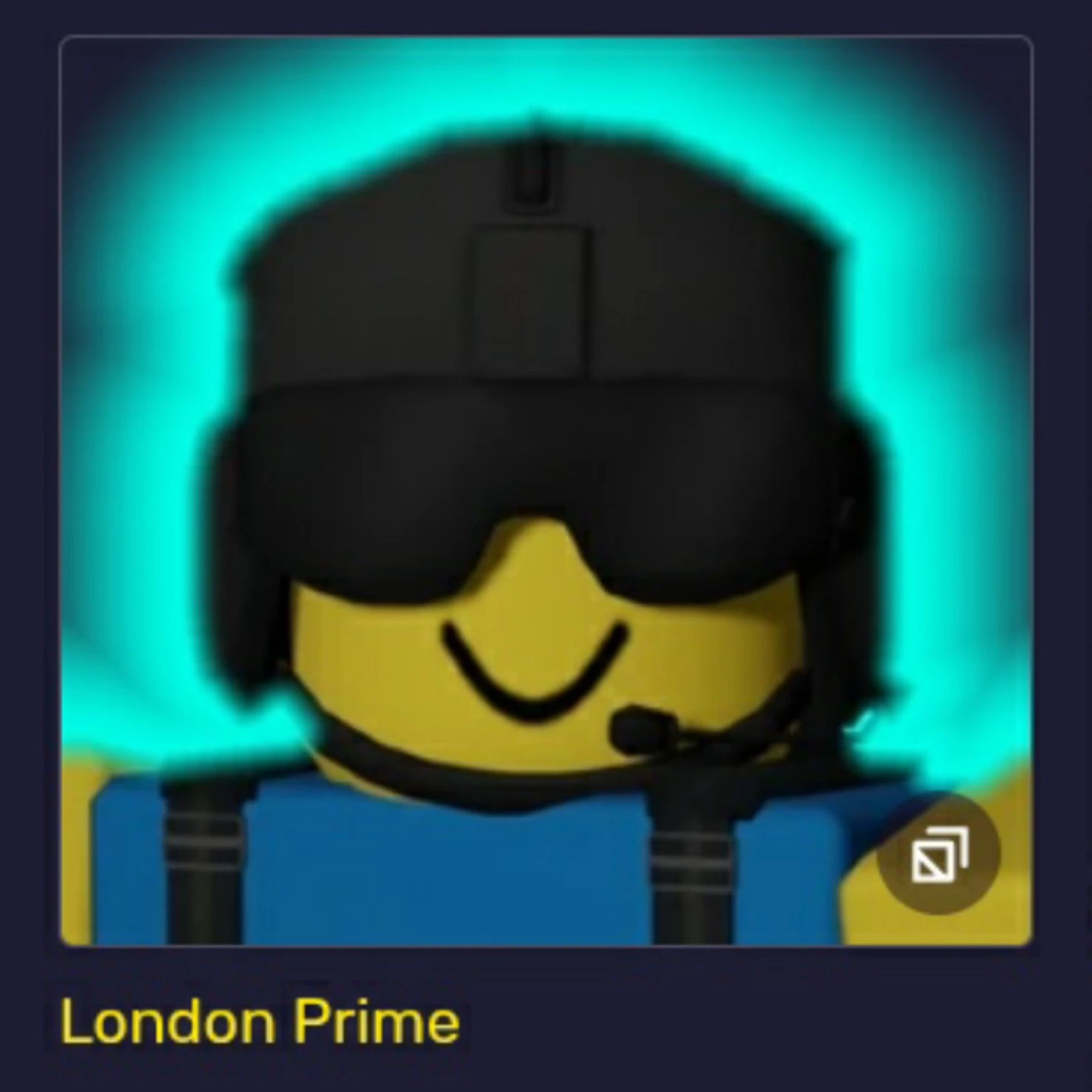 Dummy guest