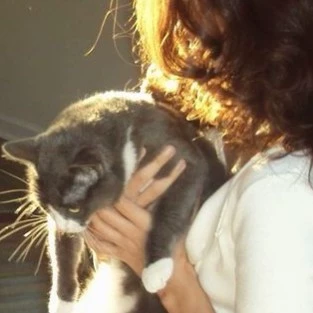 Asena