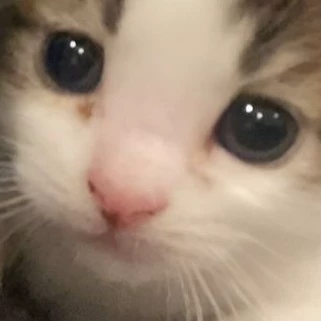 Isa