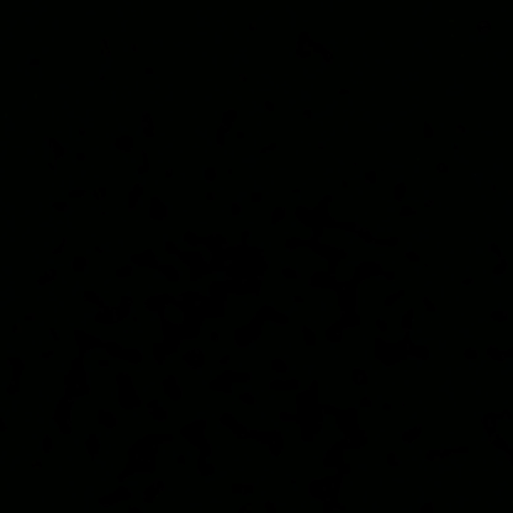 Nicolas