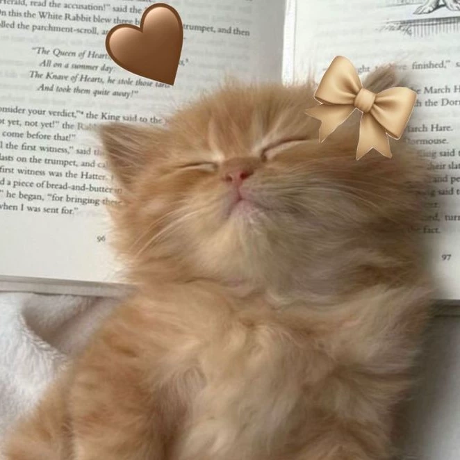 🌸{🌷Yoon🌷}🌸