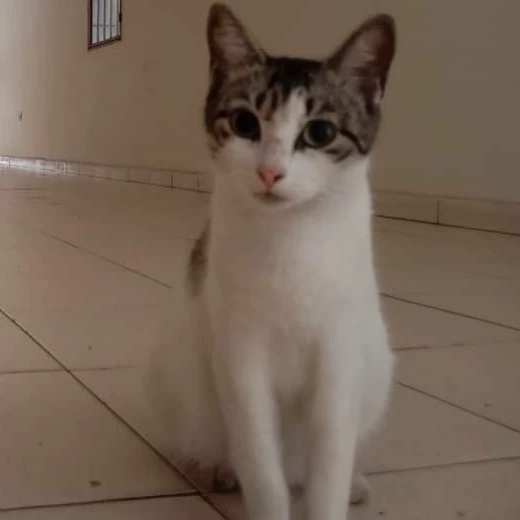 :3