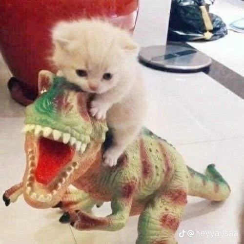 Gato-dino