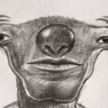 AlbionOffline