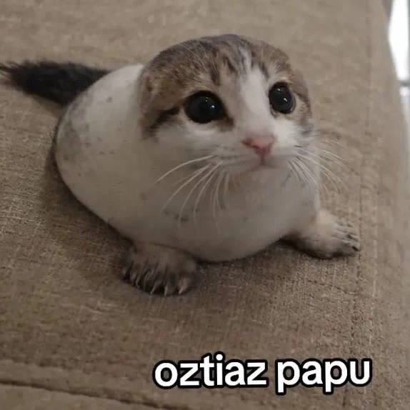 Ostiaz