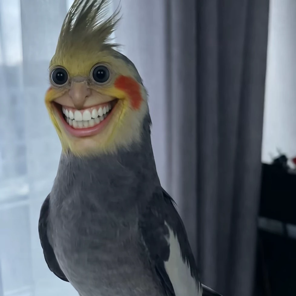 Juan