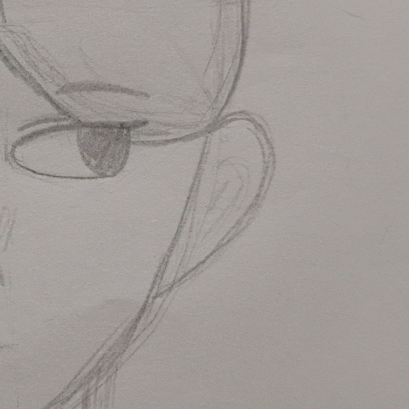 Y/N