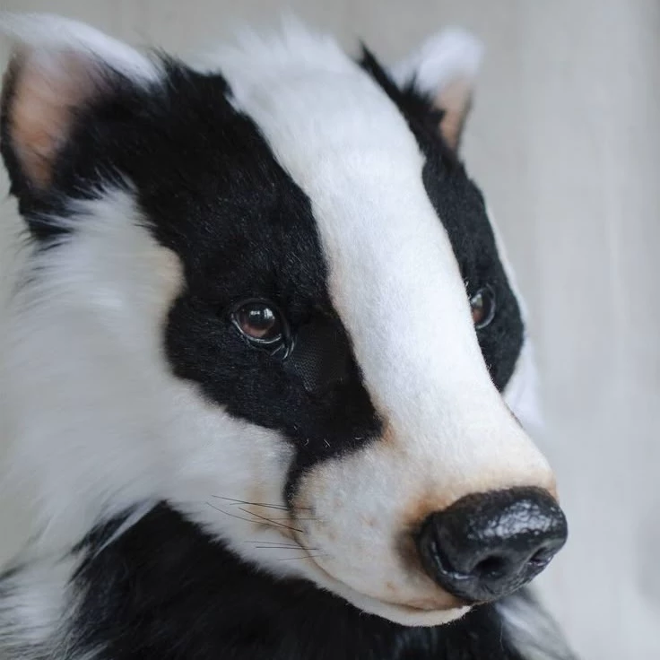 Badger the mango 