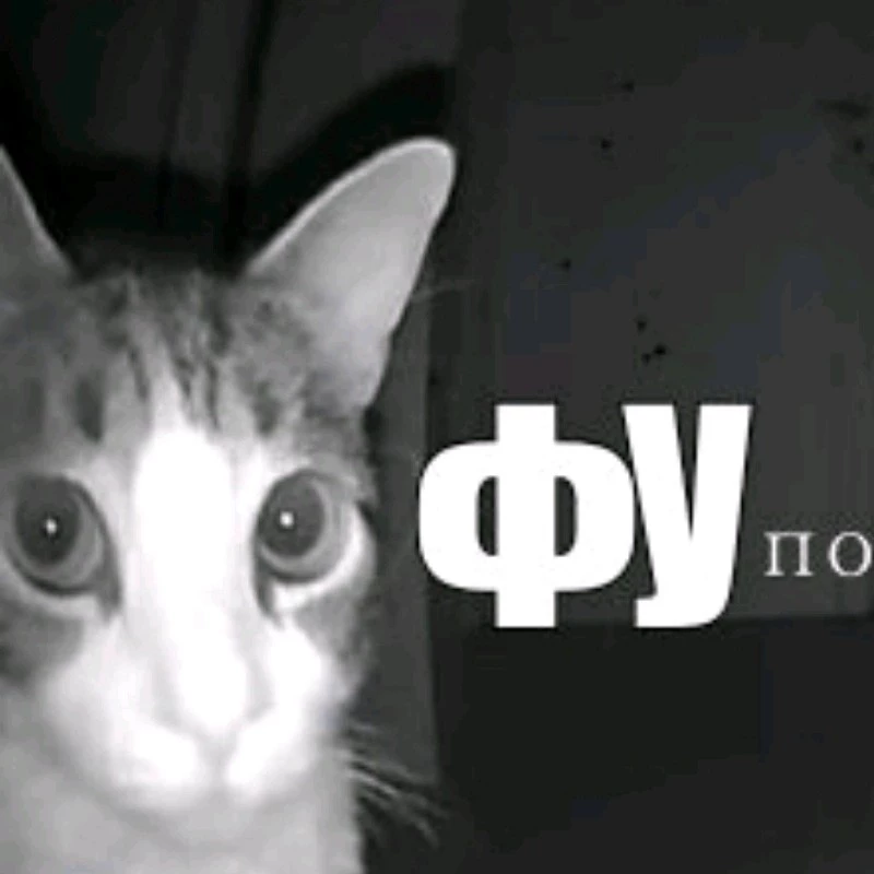 Мия