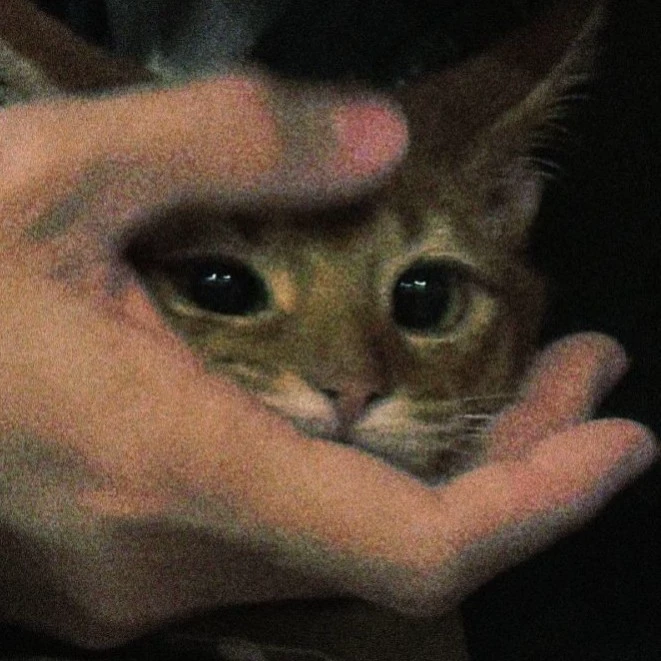 Стив